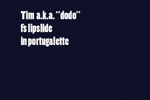 rebelteam_timmi_dodoslide